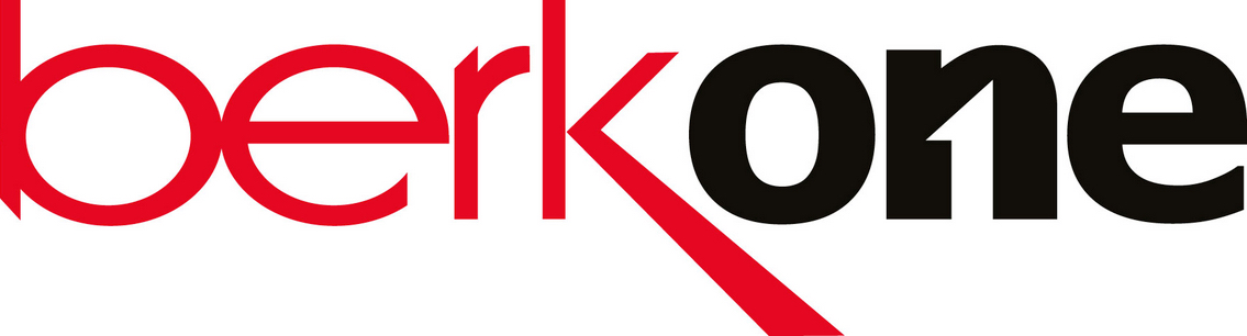 BerkOne Logo