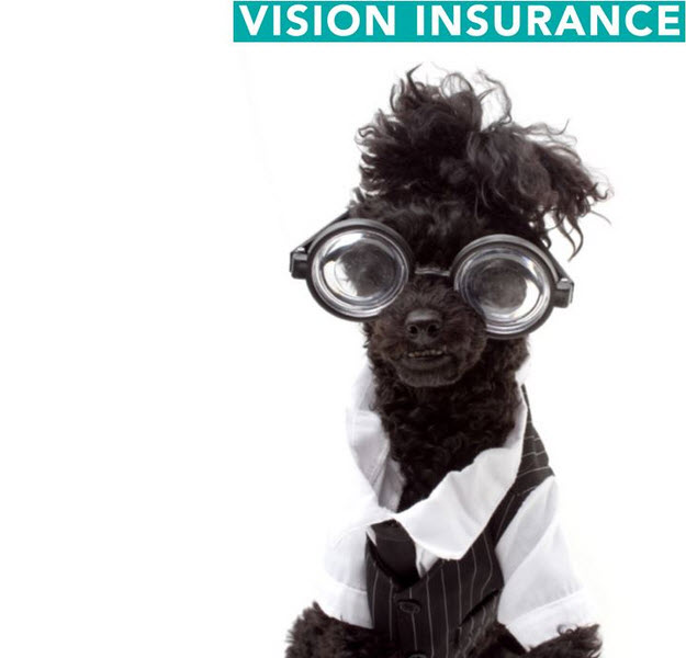 hiring auto painting job Pet Customize Resort. Paradise Jobs 86 Hiring.BENEFITS Pet hiring auto painting job Pet Customize Resort. Paradise Jobs 86 Hiring.BENEFITS Pet